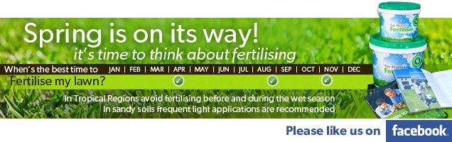 when should I fertilize my lawn